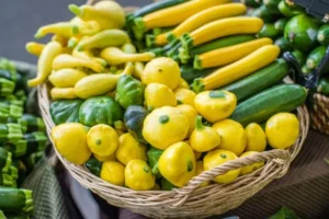 Yellow Squash