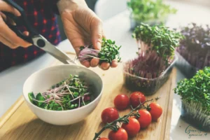 culinary-uses-for-microgreens-15 - Daily Health Tips: Simple Tricks for a Healthier Life May's Harvest Secrets